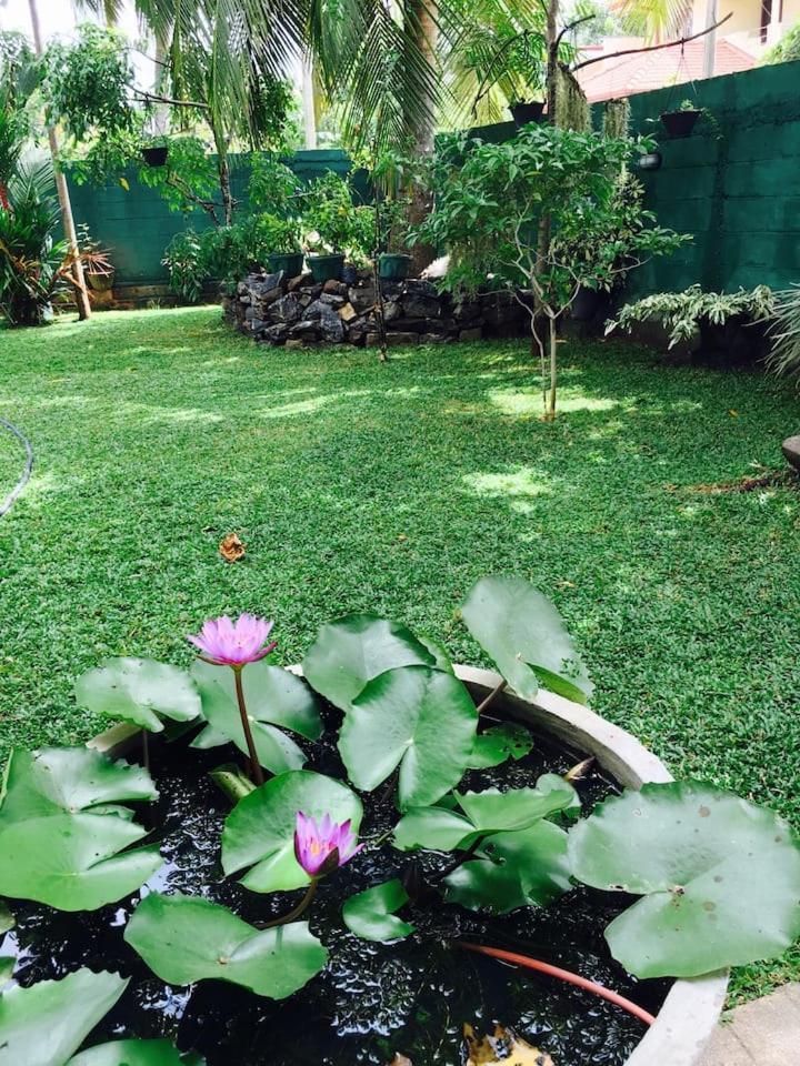 니곰보 House Of Seya B&B 외부 사진